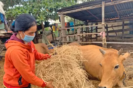 Phụ nữ Chư A Thai sáng tạo gây quỹ