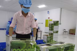 Một năm thực thi EVFTA: Nhiều ngành hưởng lợi