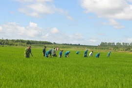 Nâng cao chất lượng, hiệu quả phong trào "Dân vận khéo"