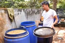 Canh tác hữu cơ từ chế phẩm IMO: Nhiều lợi ích