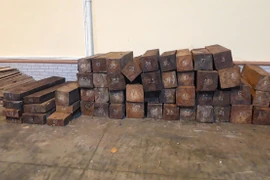 Gia Lai bắt quả tang ô tô chở gỗ lậu qua cửa khẩu ngụy trang bằng bí đỏ
