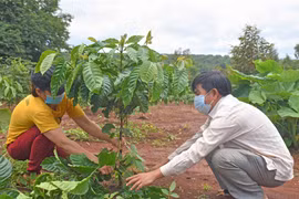 Những người vượt qua bóng tối số phận