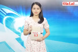 Gia Lai 48h: Thực hiện nghiêm kỷ luật, kỷ cương trong các khu cách ly