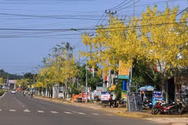Thành phố Gia Nghĩa: Đẩy mạnh chuyển dịch cơ cấu kinh tế để phát triển bền vững