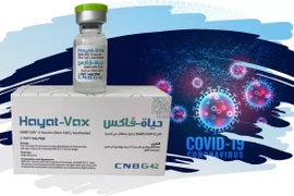 Xem xét cấp phép 2 vắc-xin Covid-19 Nano Covax và Hayat-Vax