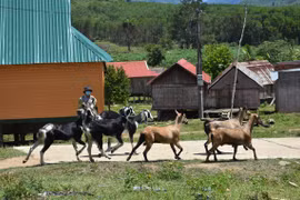 Dự án "Không còn nạn đói": Đa dạng sinh kế cho người nghèo