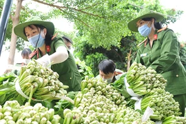 Những chuyến hàng nặng nghĩa tình từ Tây Nguyên