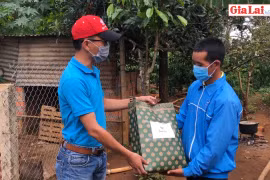 Thanh niên Gia Lai chung tay xây dựng nông thôn mới