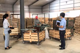 Lao động tự do đối mặt nhiều rủi ro