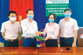 Khẩn trương giải ngân vốn vay để trả lương ngừng việc