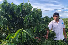 Học Bác để mỗi ngày hoàn thiện hơn