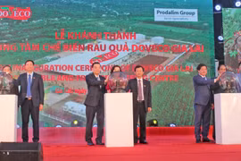 DOVECO: Xây dựng nền nông nghiệp hiện đại, chất lượng cao