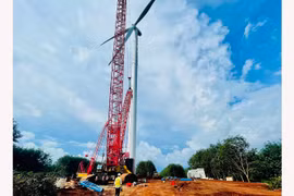 Hối hả công trình điện gió