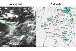 Dự báo thời tiết tỉnh Gia Lai ngày 31-8