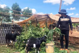 Cuộc vận động làm thay đổi nếp nghĩ, cách làm: Lan tỏa sâu rộng trong cộng đồng