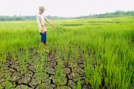 Ea Kar hạn nặng giữa mùa mưa