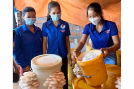 Cô gái Jrai đưa mô hình trồng nấm sạch về làng