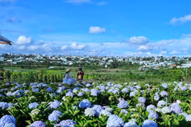 Bám trụ với nghề