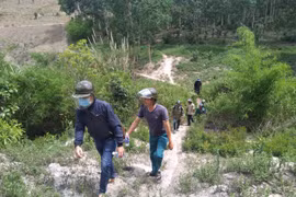 Hà Tây nỗ lực giữ rừng