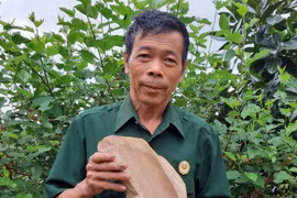 Phát hiện bàn đá mài của người tiền sử tại Chư Păh