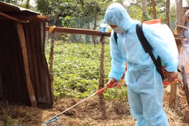 Ia Pa: 500 lít hóa chất Bencovet phòng-chống dịch bệnh động vật