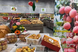 Nông sản Việt Nam xuất khẩu sang Australia tăng trưởng mạnh mẽ