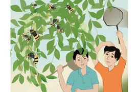 Nhớ mùa ong vò vẽ
