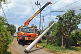 Đak Pơ hoàn thành tiêu chí điện trong xây dựng nông thôn mới