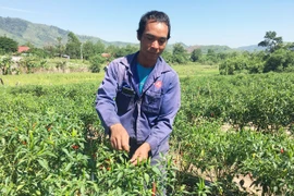 "Đầu tàu" ở Kte-Kchăng