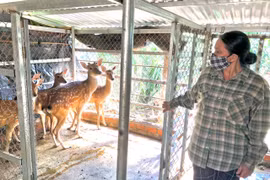 Siết chặt quản lý việc nuôi nhốt động vật hoang dã