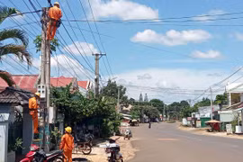 Điện lực Gia Lai tiếp nhận lưới điện của GEC