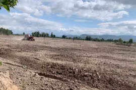 Krông Pa: Hạn hán gây thiệt hại hơn 120 tỷ đồng