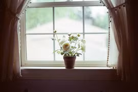 Những ngôi sao vuông