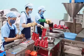 Làn sóng đầu tư mới vào Gia Lai