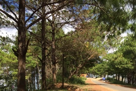 "Vô tư" xả rác ở thắng cảnh Biển Hồ