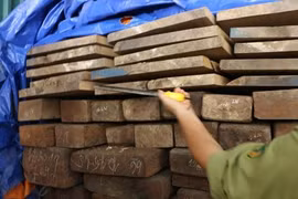 Làm rõ vụ Giám đốc Sở biến trụ sở 2 cơ quan trực thuộc thành kho chứa gỗ