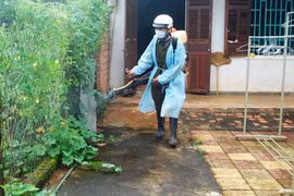 Sốt xuất huyết giảm mạnh