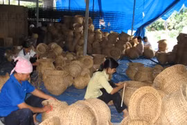 Phó Thủ tướng chỉ đạo sửa đổi cơ chế Quỹ hỗ trợ phát triển hợp tác xã