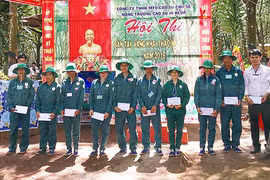 Cho cao su Chư Sê mãi xanh