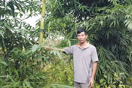 "Siêu măng" làng Kốp