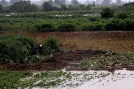 Phía Đông tỉnh: Nhiều thiệt hại do mưa lũ