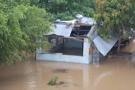 Khẩn trương thực hiện công tác thu, nộp quỹ phòng-chống thiên tai