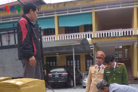 Bắt giữ, tiêu hủy 1,3 tấn nội tạng động vật hôi thối