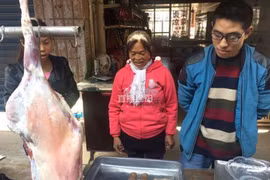 Mổ cừu làm thịt, một gia đình không ngờ vớ được kho báu tiền tỉ