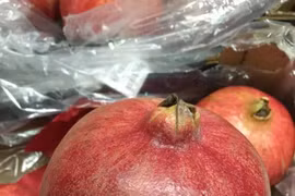 Quả lựu khổng lồ khiến chị em xôn xao, lên cơn thèm