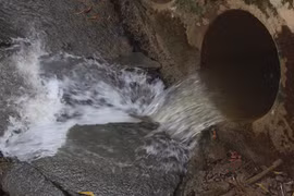 Thu phí bảo vệ môi trường đối với nước thải