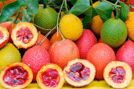 Quả gấc có thể chữa bệnh trĩ và quai bị