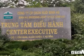 Đàn bò hơn 40.000con khiến cha con ông Trần Bắc Hà bị bắt giờ ởđâu?