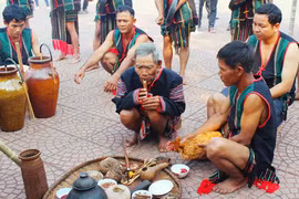 Tôn vinh hạt thóc