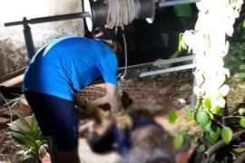 Đắk Lắk: Tá hỏa phát hiện thi thể người đàn ông dưới giếng sâu